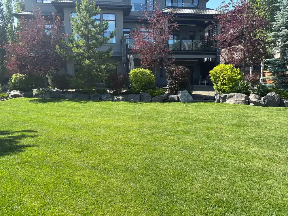 gardening services Edmonton planting and maintenance