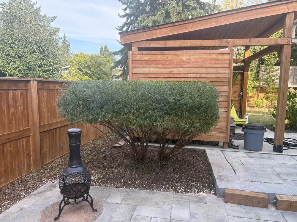 gardening services Edmonton planting and maintenance